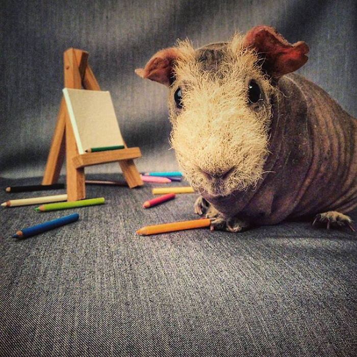 I Photographed A Skinny Model Using My Mobile Phone Camera