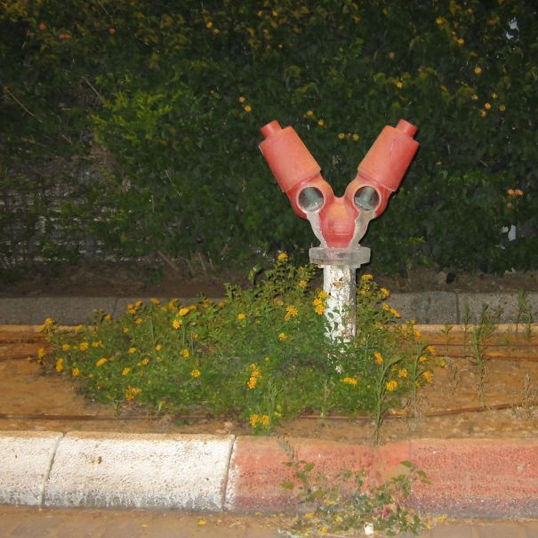 Hey, Man! Where Is The Nearest Fire Department?