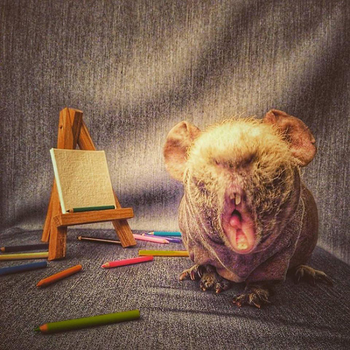 I Photographed A Skinny Model Using My Mobile Phone Camera