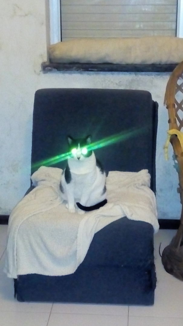 Take Me To Your Leader.