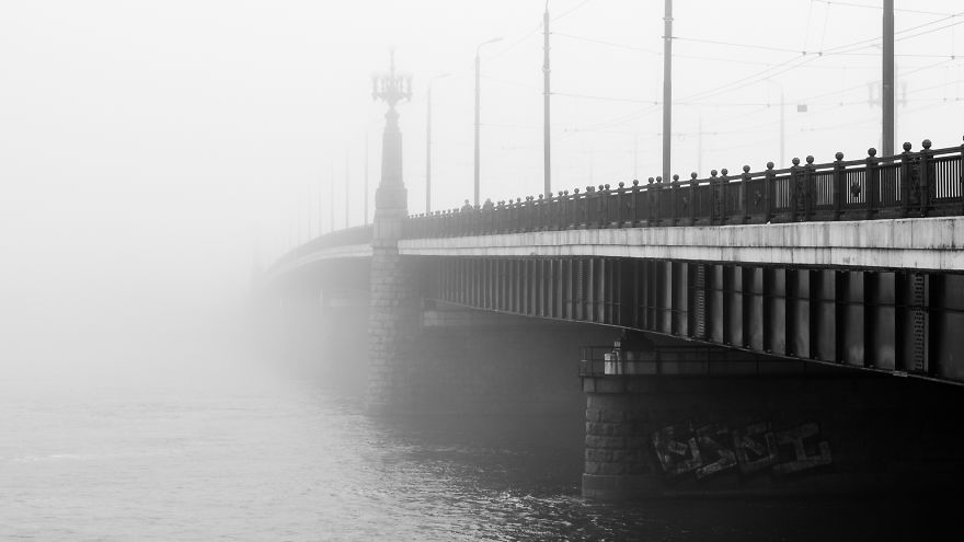 Embraced By The Mist