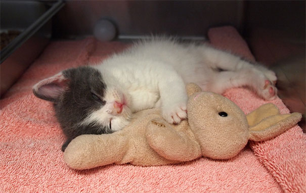 Shh. This Is Sleep Time