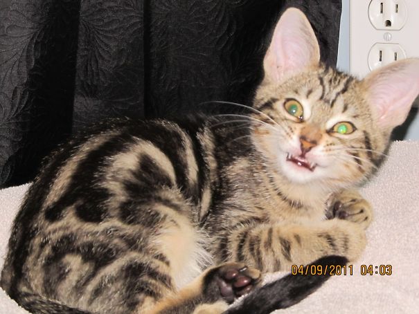 Don't Interrupt My Sleep!