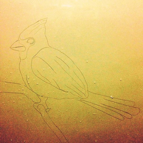 Artist Makes Drawings With Hair Falling In The Bath