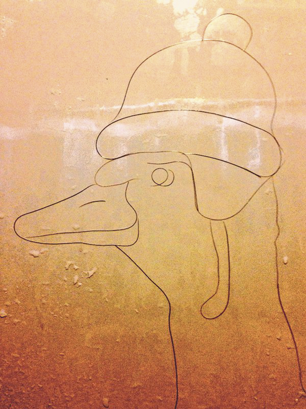 Artist Makes Drawings With Hair Falling In The Bath