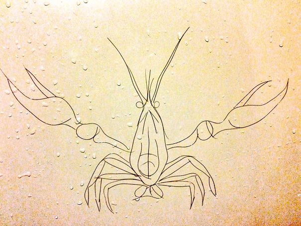 Artist Makes Drawings With Hair Falling In The Bath