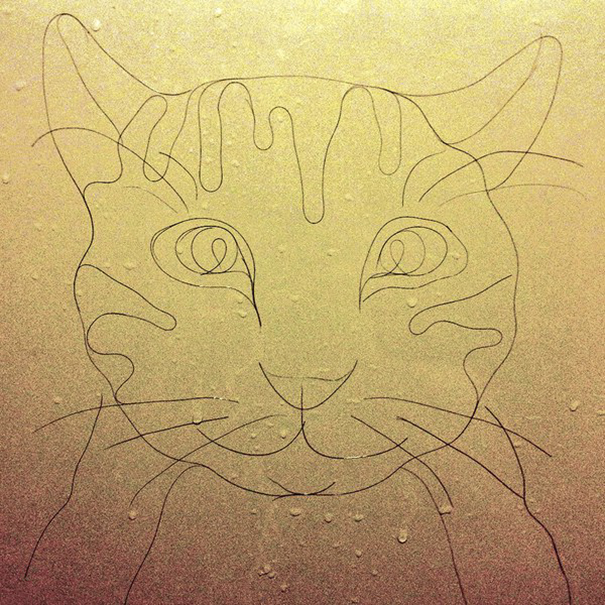 Artist Makes Drawings With Hair Falling In The Bath