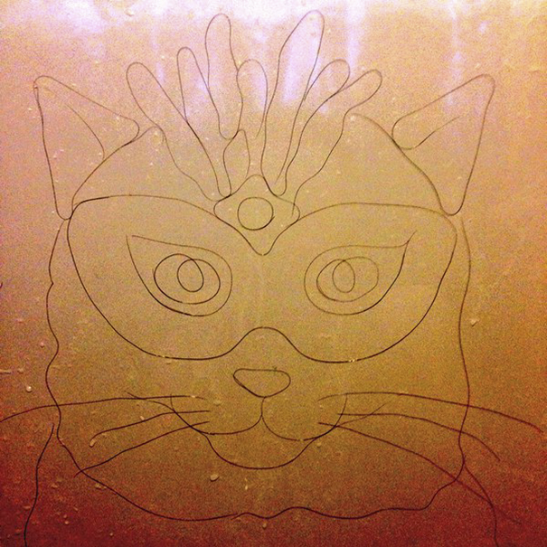 Artist Makes Drawings With Hair Falling In The Bath