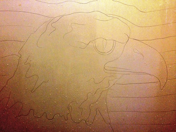 Artist Makes Drawings With Hair Falling In The Bath