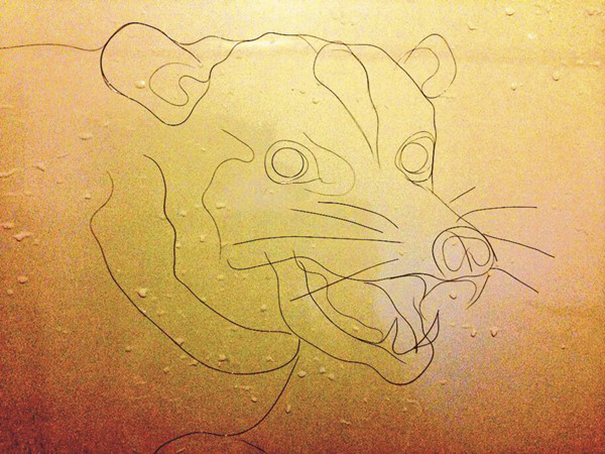 Artist Makes Drawings With Hair Falling In The Bath