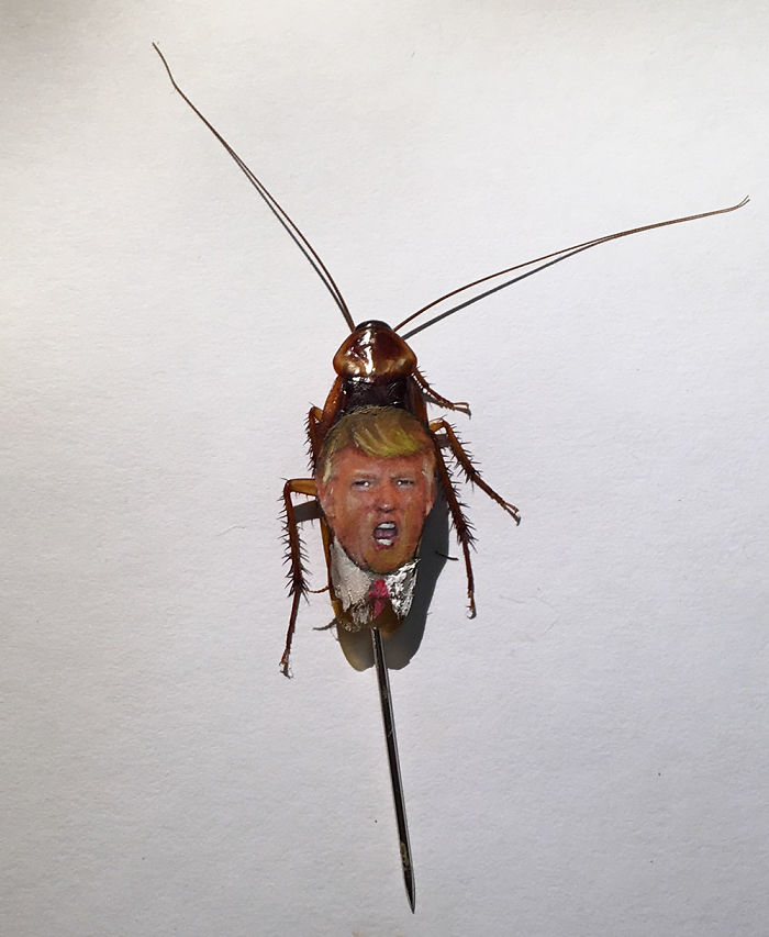 I Painted Donald Trump And Vladimir Putin On Real Cockroaches I Painted Donald Trump And Vladimir Putin On Real Cockroaches