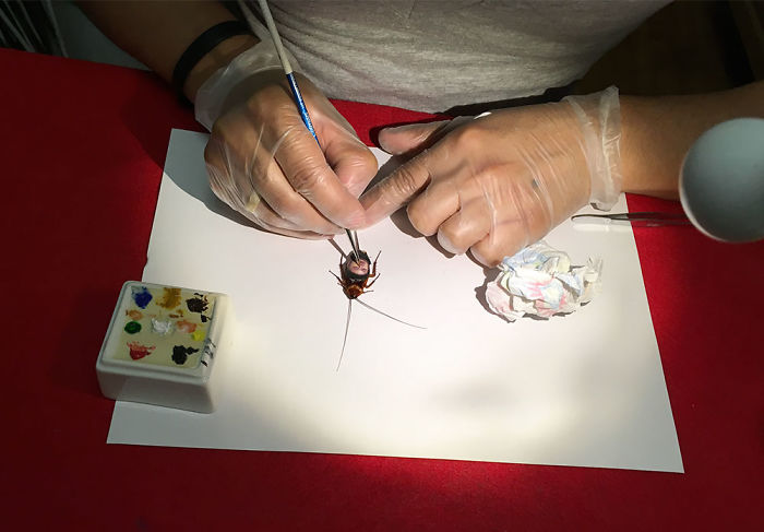 I Painted Donald Trump And Vladimir Putin On Real Cockroaches I Painted Donald Trump And Vladimir Putin On Real Cockroaches