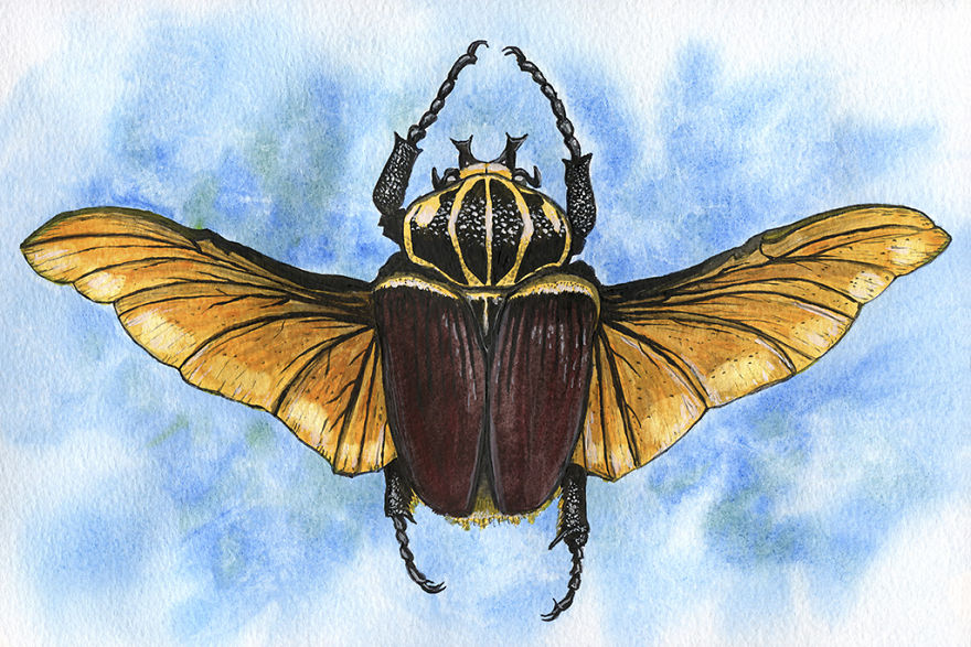 New Animals At Watercolour Zoo