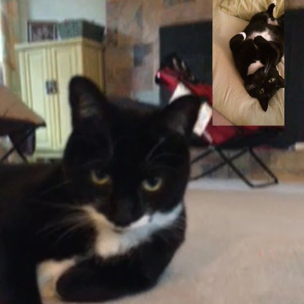 Racy Facetime...dramatic Lounging.