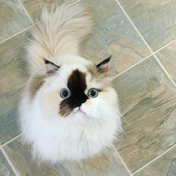 What's The Plan For Sunday Funday?