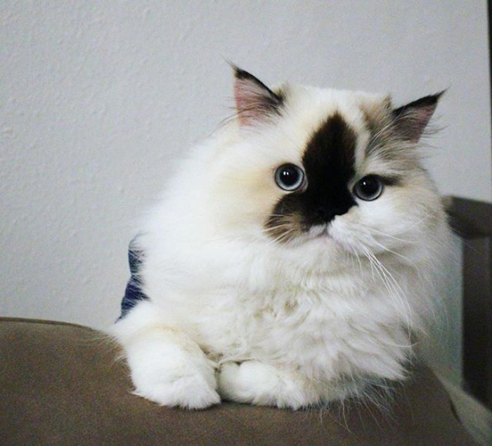 Word On The Street Is That Tomorrow Is Friday. Is That True? 🤔