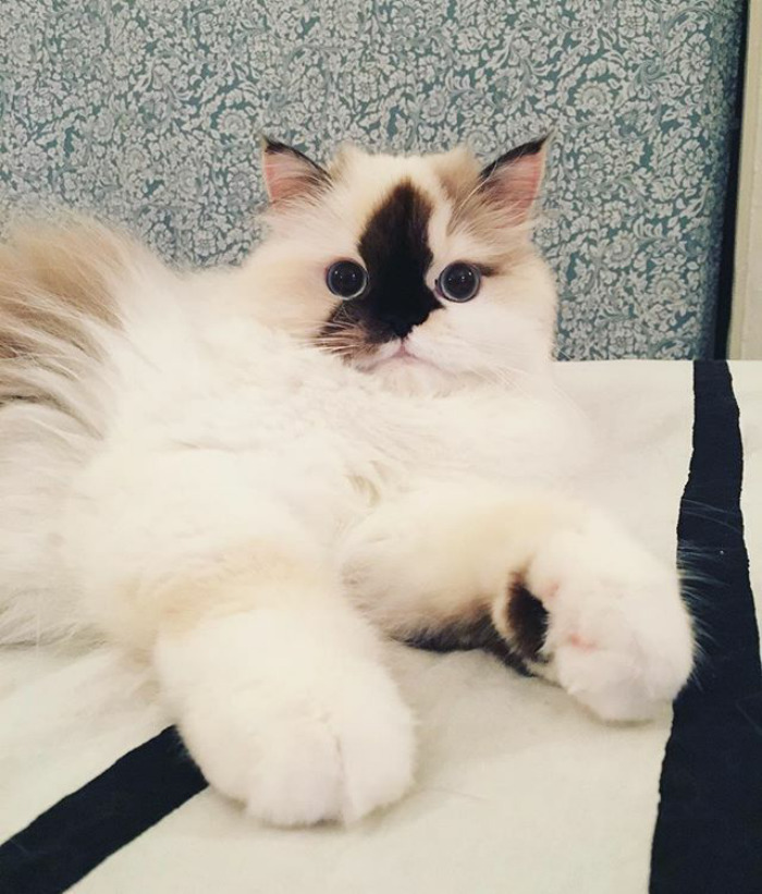 Is It Sleepy Time Yet? Cuz I'm Ready!