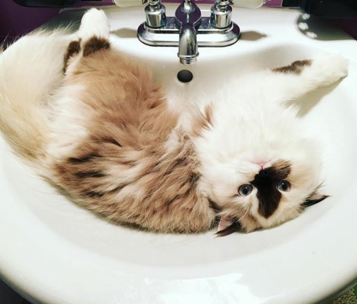 You're Going To Turn On The Water Aren't You? 😳