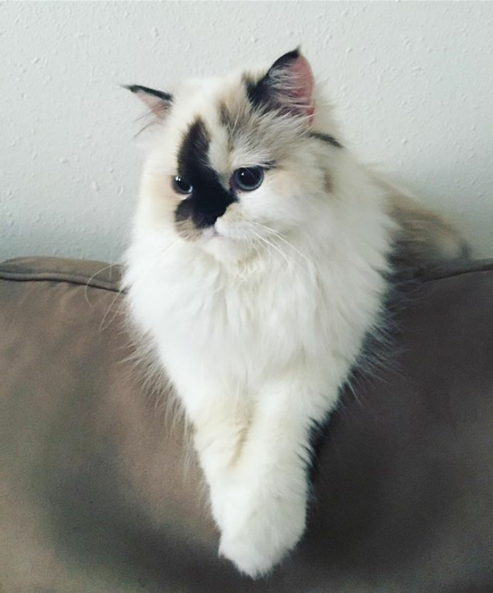 On Point With That Tuesday Mood 👌🏼