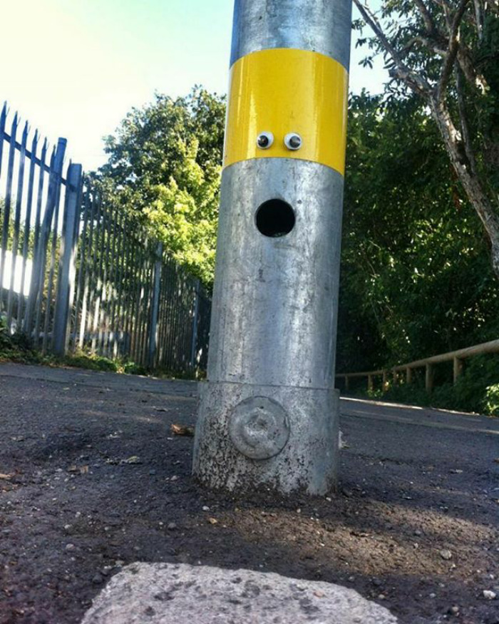 Eye've Been Looking For You