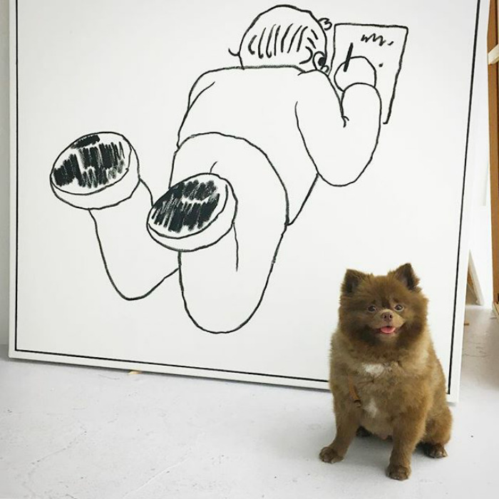 "Bear" Dumped By A Breeder Gets A Job At An Art Gallery "Bear" Dumped By A Breeder Gets A Job At An Art Gallery