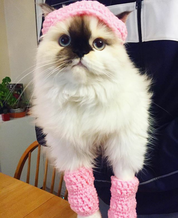 All You Ladies Ready For Your