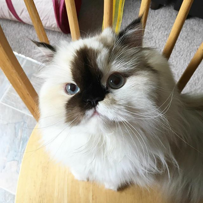 When Are You Gonna Share Some Of What You're Eating? 🤔 Sharing Is Caring