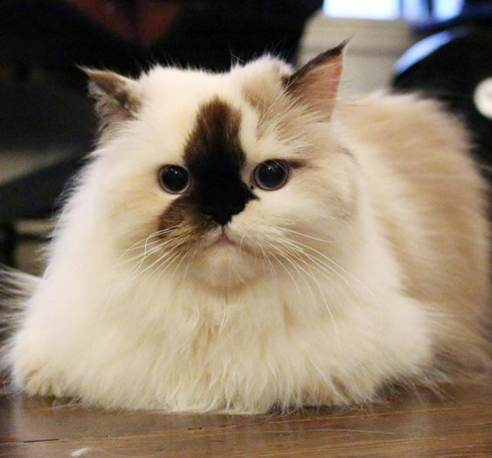 So Tell Me, Is Monday Over Yet? 🍞