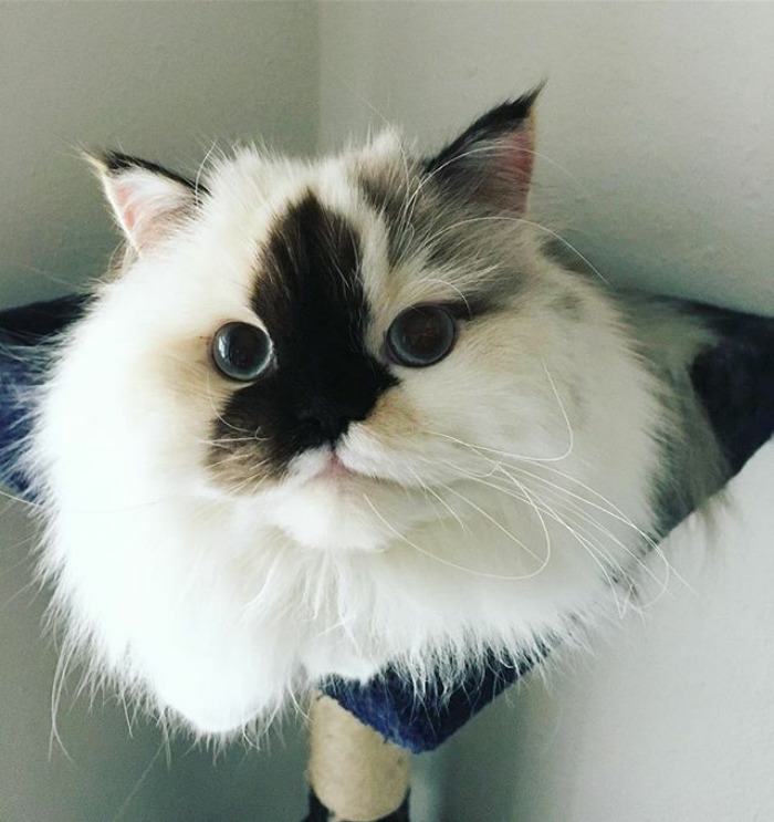 Shnacks Shnacks Shnacks Gimme The Shnacks!! 🐠🐟🐠🐟