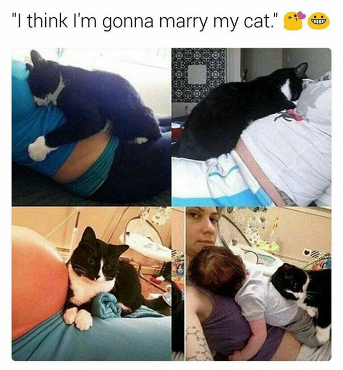 Funny animal meme showing a cat snuggling with a person and a baby, implying affection and happiness.