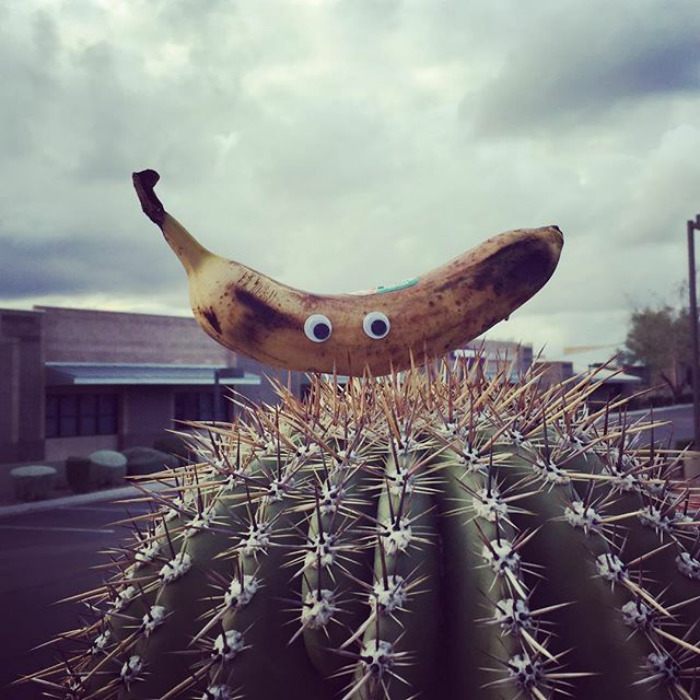 Keeping It Weird, Arizona!