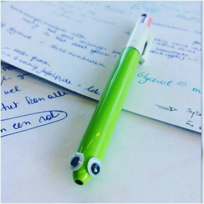 It's Study Time For The Googly Eyes Family