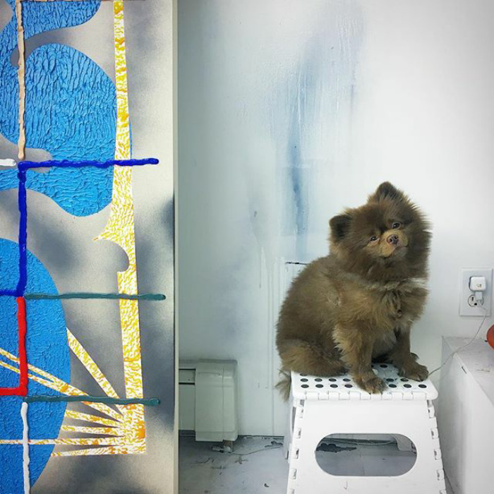 "Bear" Dumped By A Breeder Gets A Job At An Art Gallery "Bear" Dumped By A Breeder Gets A Job At An Art Gallery