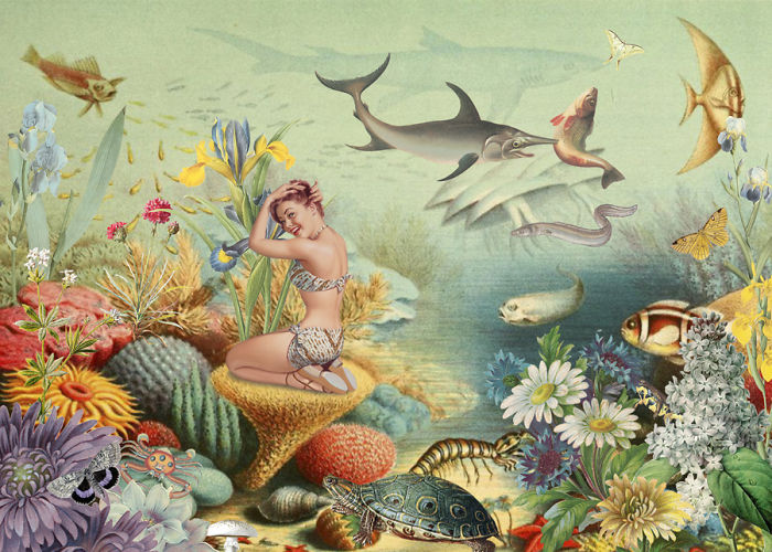 A Series Of Vintage Collages Inspired By Nature And Other Worlds A Series Of Vintage Collages Inspired By Nature And Other Worlds