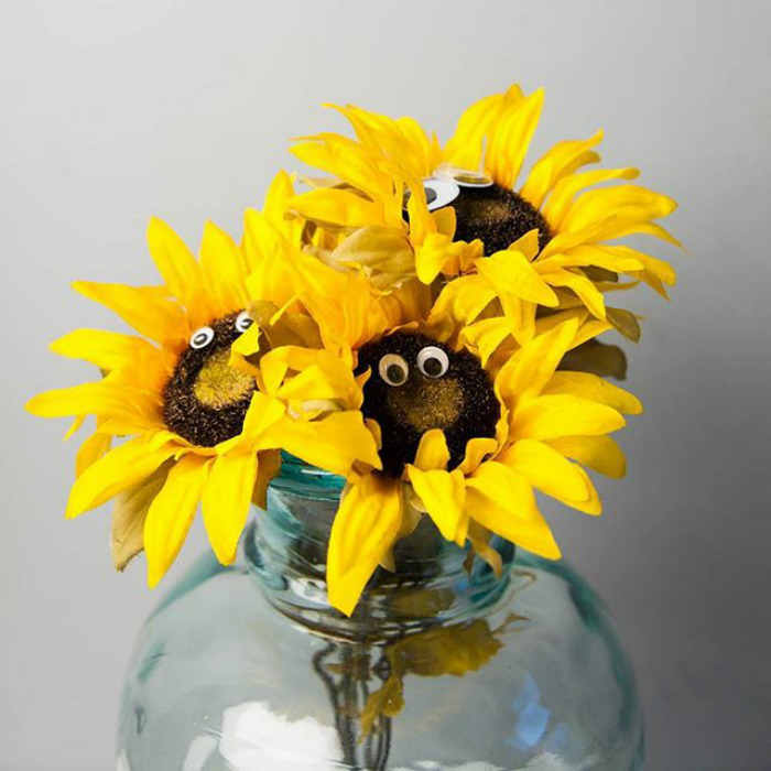 Anything Can Be Anything You Want