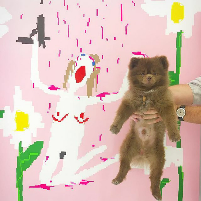 "Bear" Dumped By A Breeder Gets A Job At An Art Gallery "Bear" Dumped By A Breeder Gets A Job At An Art Gallery