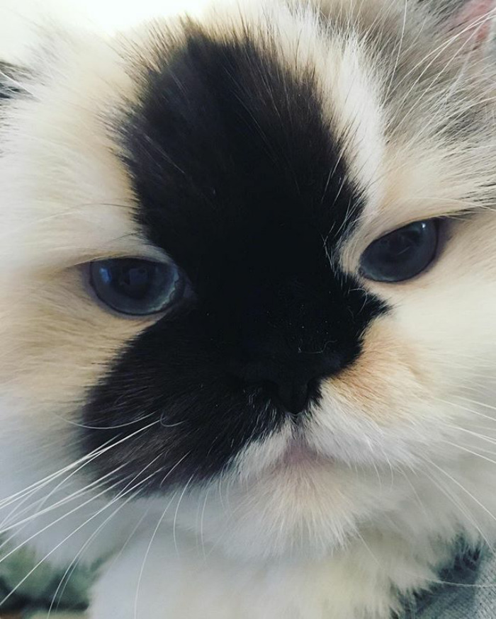 Hooman, It's Time To Wake Up Now. It's