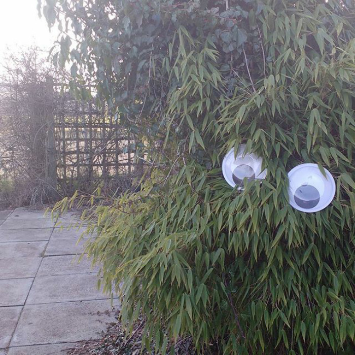 Bamboozled By The Appearance Of This Guy