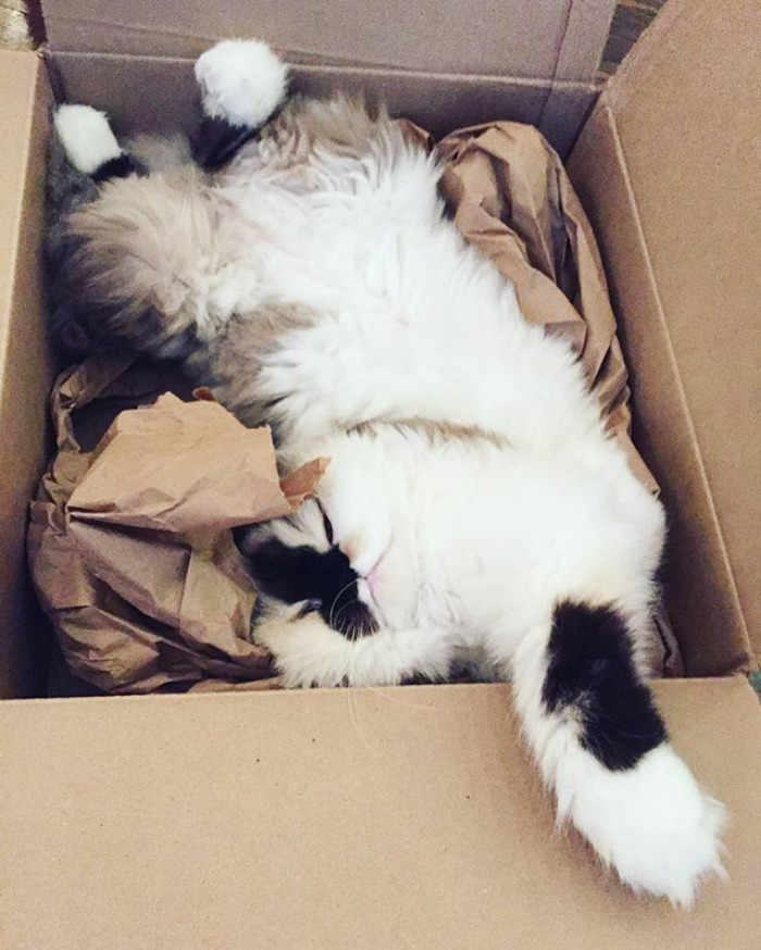 When Your Friends Want You To Go Out Friday Night But You Really Just Wanna Stay In Bed And Watch Netflix