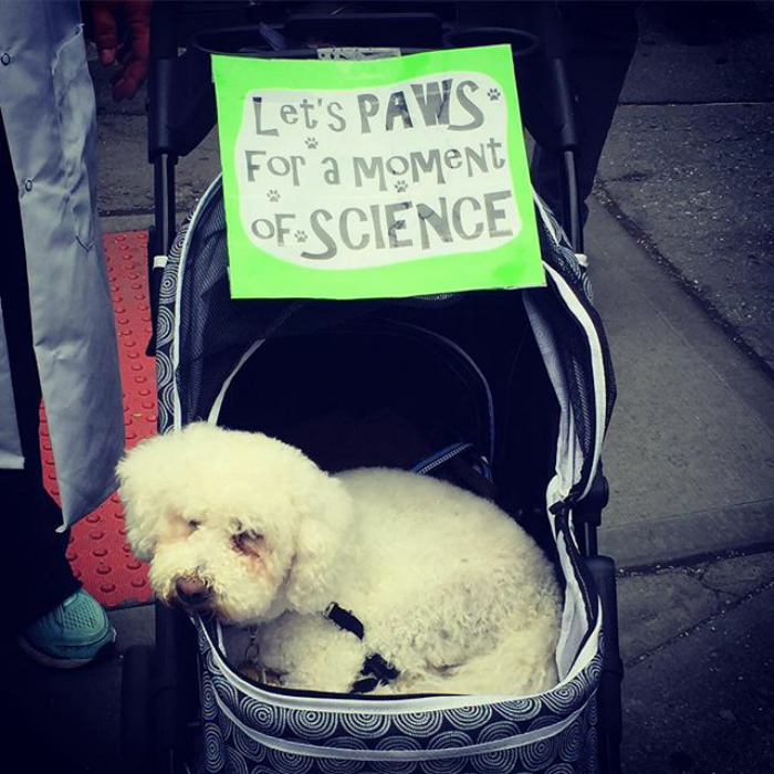 Science March