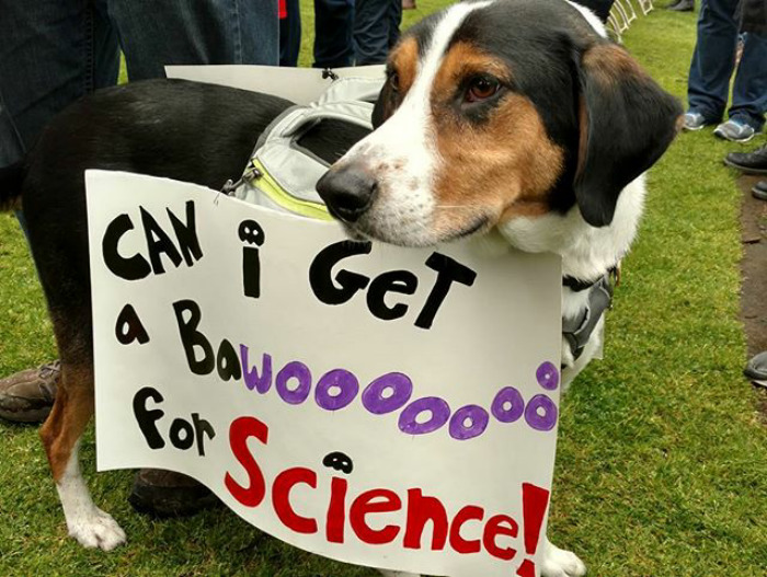 Science March