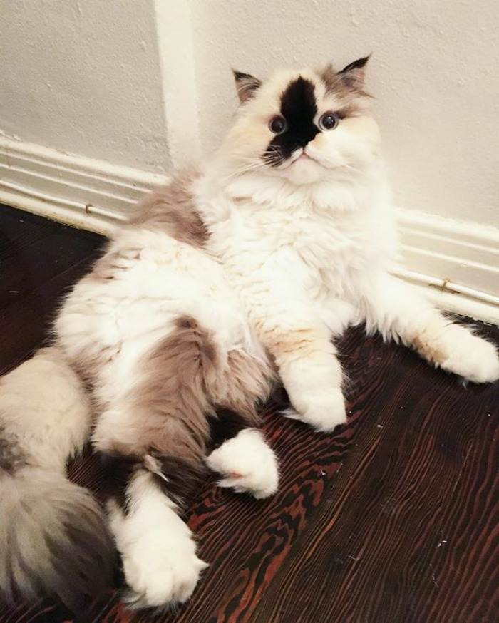 Agenda For The Day: Sit, Sleep, Eat, Repeat