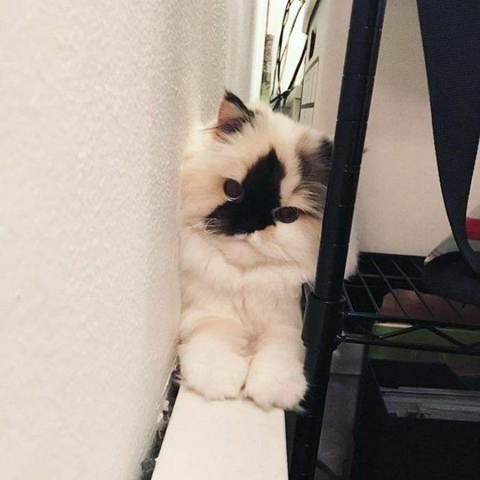 I Like Small Spaces 👍🏼