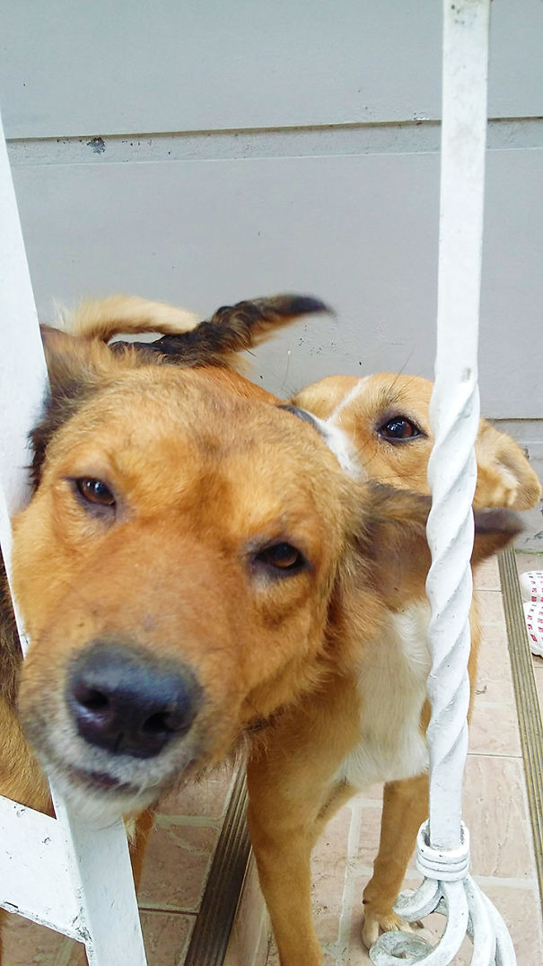 I Look Better Than Her Don't I?