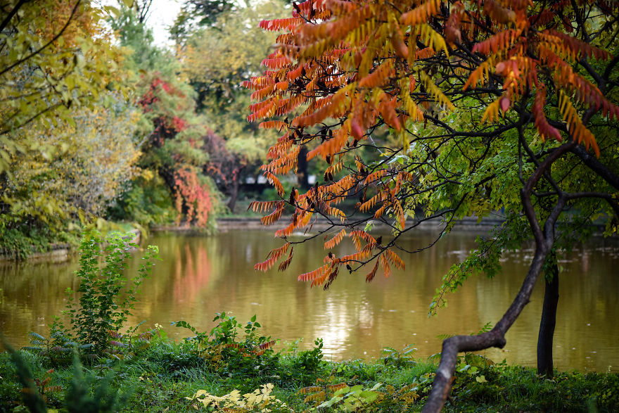 Bucharest, Our Beautiful Concrete Daily Prison
