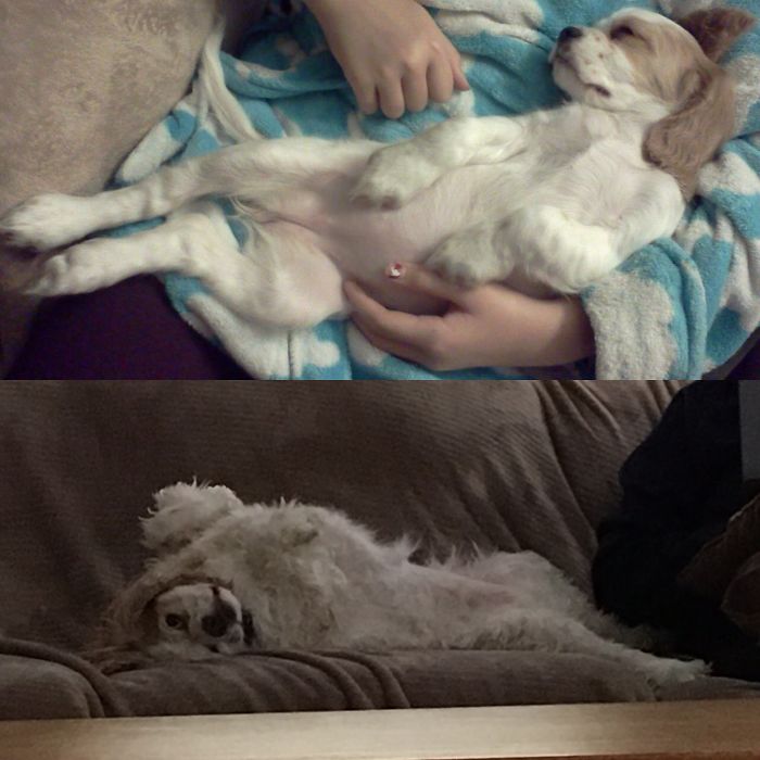 Bailey, Age 1 And Age 4, She Will Never Change...