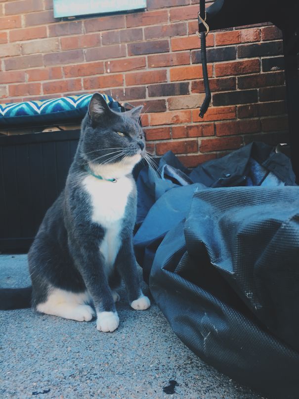 The Look He Gave After I Said Look At The Camera. Not Amused!