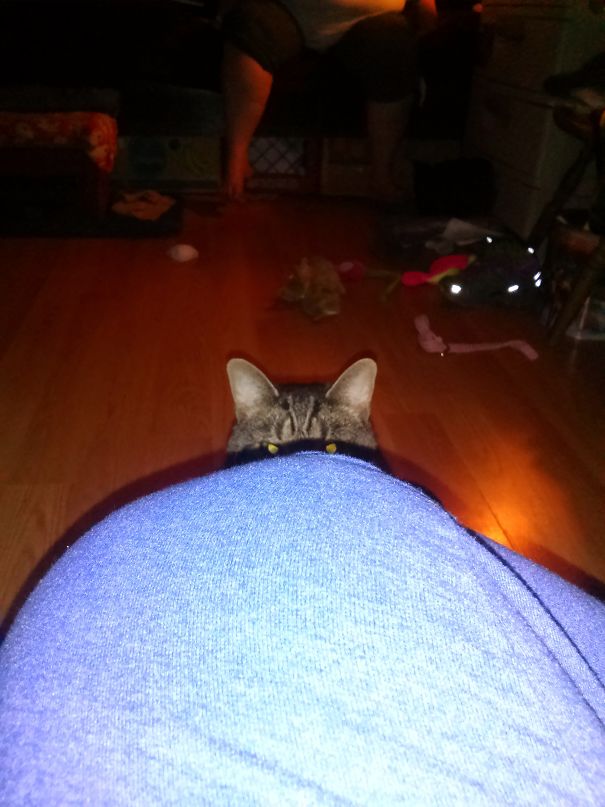 Until You Pet Me..... I Will Not Stop Staring!