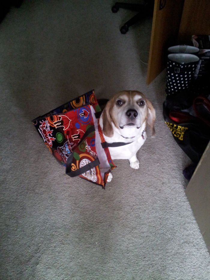 Oh! Hey! I Found That Bag For You!