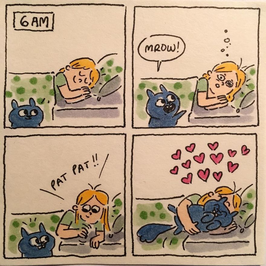 Cat Moments